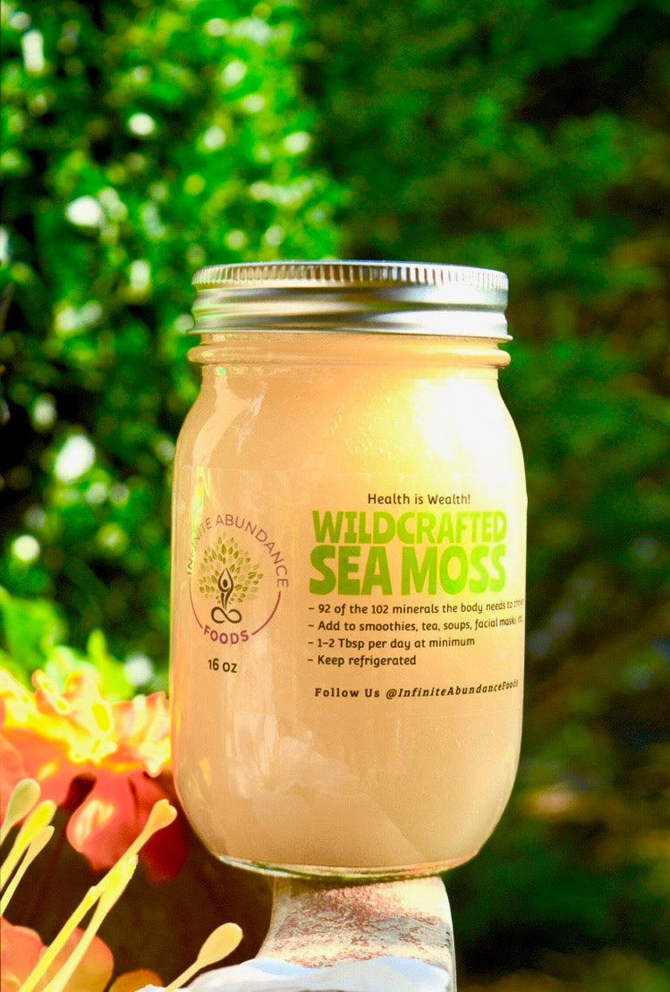 IA Wildcrafted Sea Moss Gel (16 oz) – Infinite Abundance Sea Moss